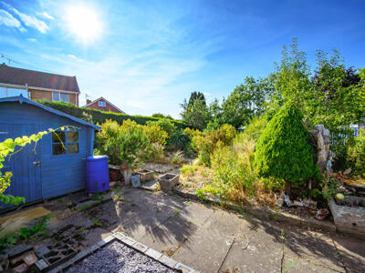 Picture 20